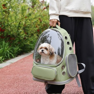 Sac transport Chien vert design