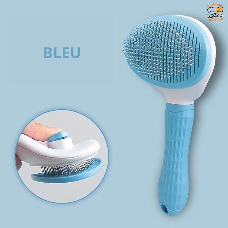 Brosse-pour-Chien-bleu