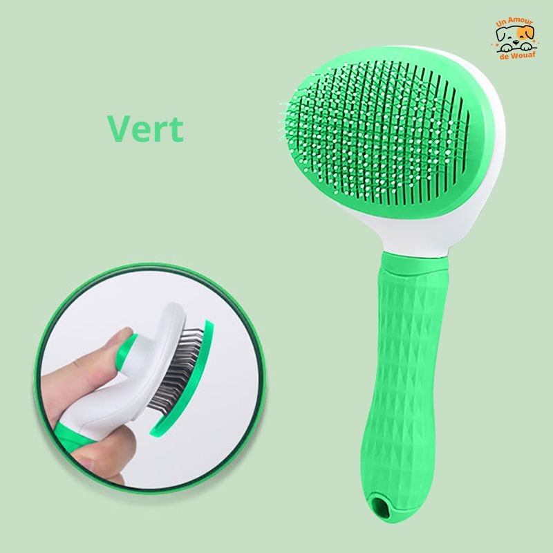 Brosse-pour-Chien-vert