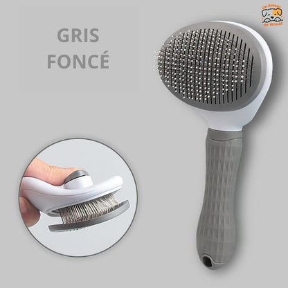 Brosse-pour-Chien-gris