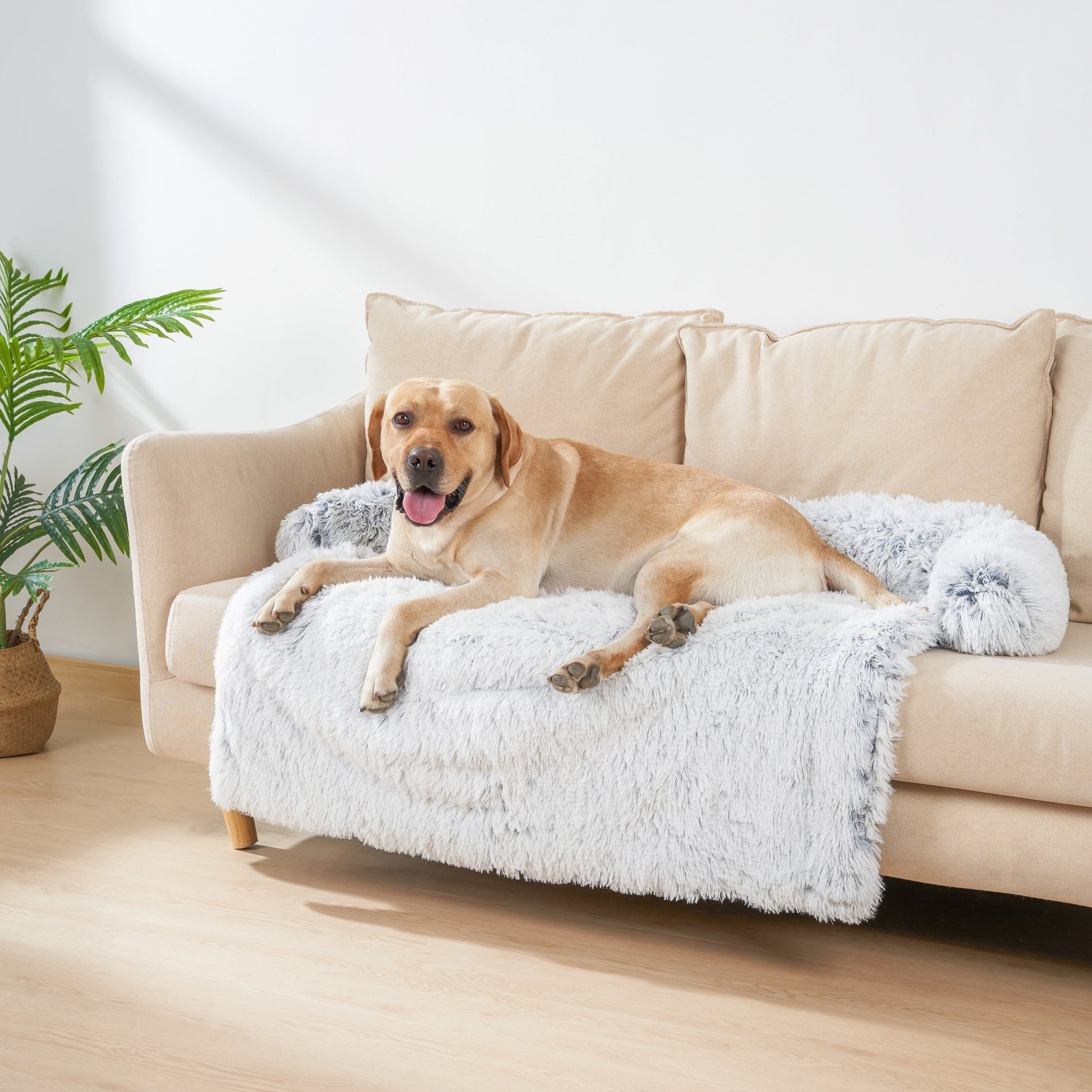 canapé pour chien gris confortable