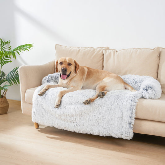 canapé pour chien gris confortable
