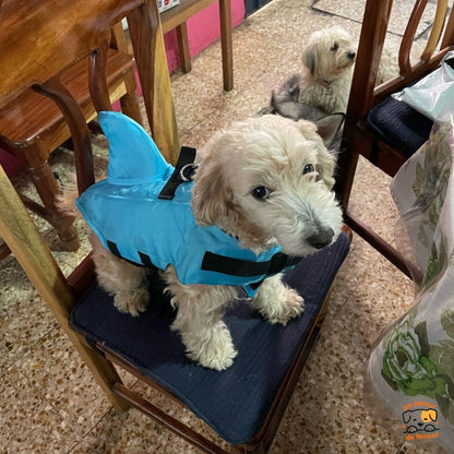 Gilet de Sauvetage Chien