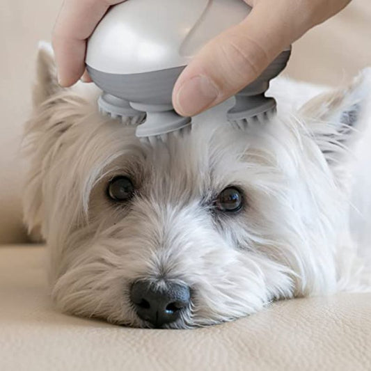 Masseur électrique pour votre chien | DogRelax™ - unamourdewouaf