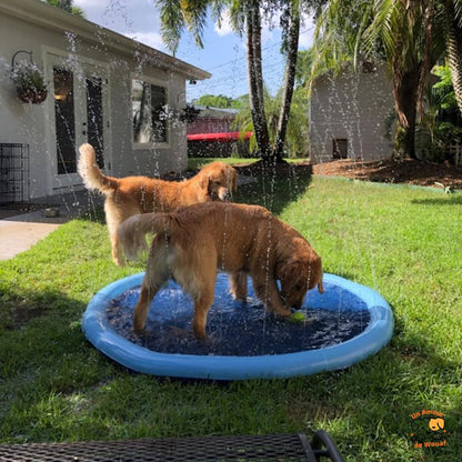 Piscine-pour-chien-bleu